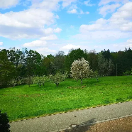 Ein Und Ein Komfortzimmer In Malsch, Zwischen Karlsruhe, Rastatt Und Baden-baden Malsch (Karlsruhe)